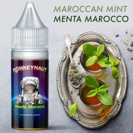 MENTA MAROCCO - Aroma Concentrato 10ml - MonkeyNaut