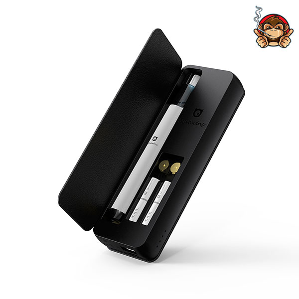 Custodia Power Bank per VStick, Kubi, Zeep, Kiwi, iQos da 2000mAh - Quawins