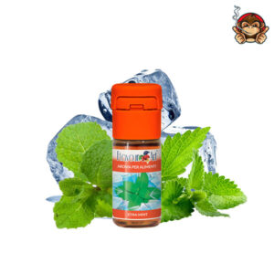 Xtra Mint - Aroma Concentrato 10ml - Flavourart