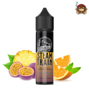 Destination - Liquido Scomposto 20ml - Steam Train