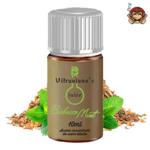 Birbacco Mint - Aroma Concentrato 10ml - Vitruviano Juice