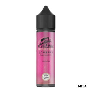 Journey - Liquido Scomposto 20ml - Steam Train