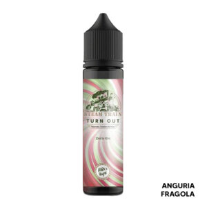 Turn Out - Liquido Scomposto 20ml - Steam Train