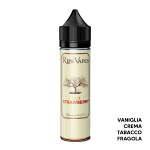 VCT Strawberry - Liquido Scomposto 20ml - Ripe Vapes