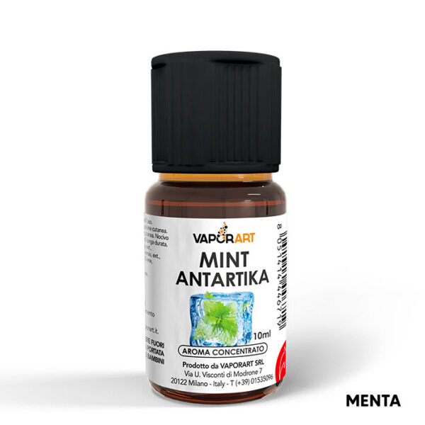 MINT ANTARTIKA - Delixia - Aroma Concentrato 10ml - Vaporart