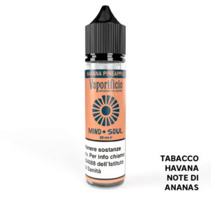 HAVANA PINEAPPLE - Mind Soul - Liquido Scomposto 20ml - Vaporificio