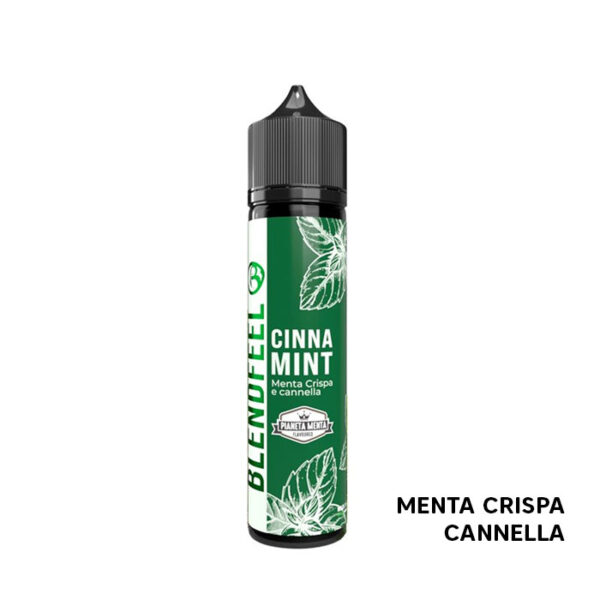 CINNA MINT - Pianeta Menta - Liquido Scomposto 20ml - Blendfeel