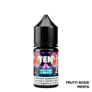 FRUTTI ROSSI & MENTA – Ten X – Aroma Mini Shot 10+10 – Flavourart