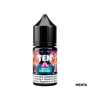 MENTA BALSAMICA – Ten X – Aroma Mini Shot 10+10 – Flavourart