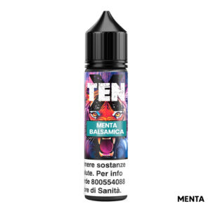 MENTA BALSAMICA – Ten X – Liquido Scomposto 20ml – Flavourart