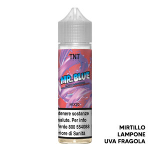 MR. BLUE – Fruity – Mix Series 20ml – TNT Vape