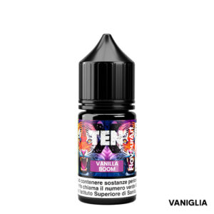 VANILLA BOOM – Ten X – Aroma Mini Shot 10+10 – Flavourart