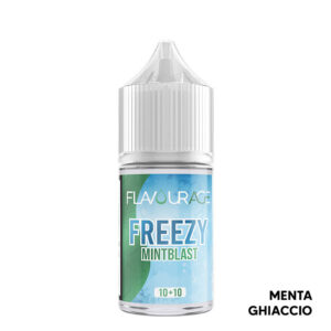 MINT BLAST - Freezy - Aroma Mini Shot 10+10 - Flavourage