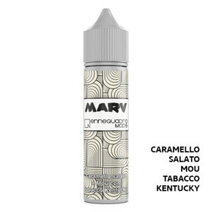 MARV - Liquido Scomposto 20ml - Ennequadro Mods