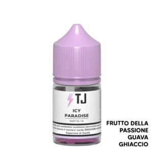 ICY PARADISE - Aroma Mini Shot 10+10 - T-Juice
