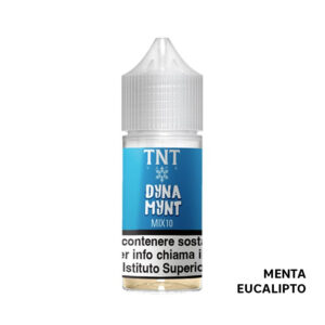 DYNA MYNT - i magnifici 7 - Mix Series 10ml - TNT Vape