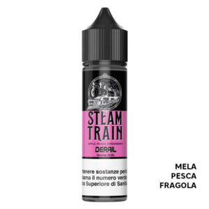 Derail – Liquido Scomposto 20ml – Steam Train