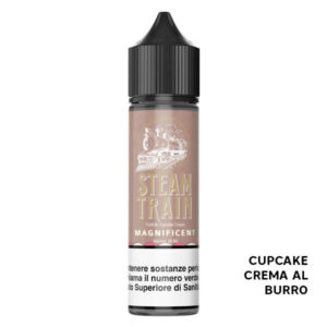 Magnificent – Liquido Scomposto 20ml – Steam Train