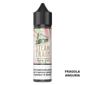 Turn Out – Liquido Scomposto 20ml – Steam Train