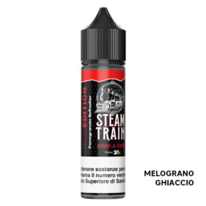 BOOK A RIDE – Pod Edition – Liquido Scomposto 20ml – Steam Train