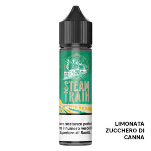 Whistle – Liquido Scomposto 20ml – Steam Train